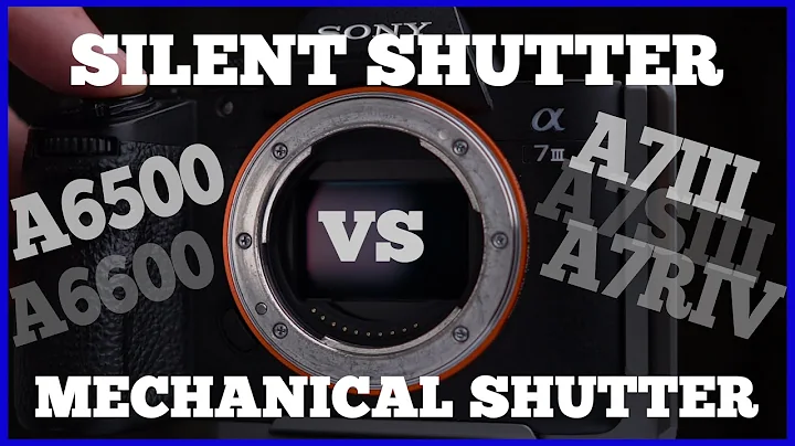 Sony a7iii Silent Shutter vs The Mechanical Shutter Explained - DayDayNews