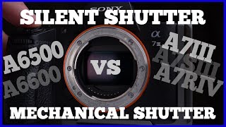 Sony a7iii Silent Shutter vs The Mechanical Shutter Explained