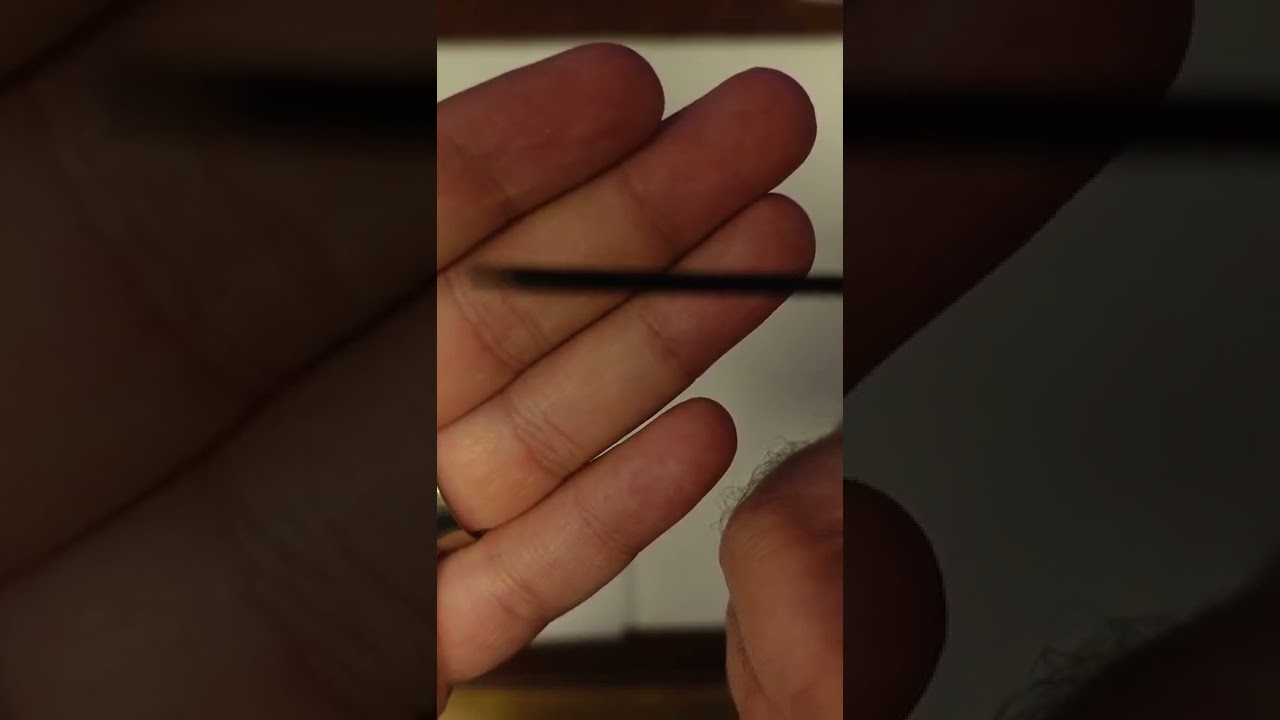 How Much Is A Crocodile Garden Room