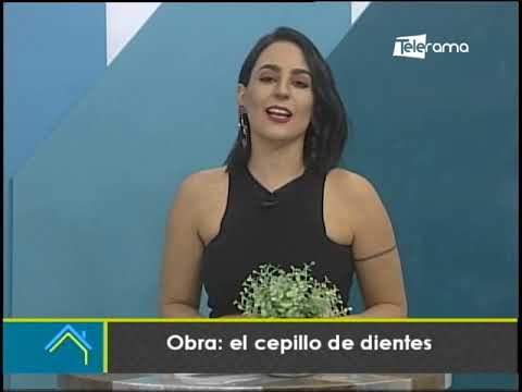 Obra: El Cepillo de Dientes