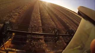 Moisson de l'escourgeon 2017 GoPro HD