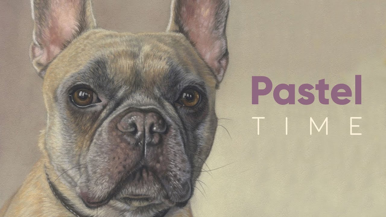 French Bulldog in Soft Pastel - Timelapse