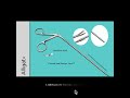 Alligator Ear Forceps by Medident Enterprises