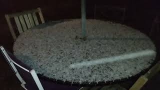 Noël sous la neige - Christmas in the snow - C.K.S. 🌲🙏✨ #Christmas #snow #Noël #Neige screenshot 5