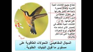 العرض الاول مدخل إلى الوحدة الثانية من التحولات الطاقوية