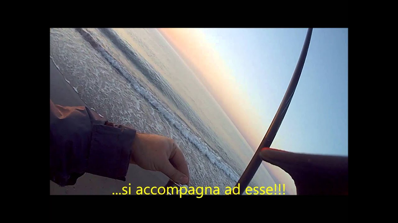 Reginella All Alba All Inglese Youtube