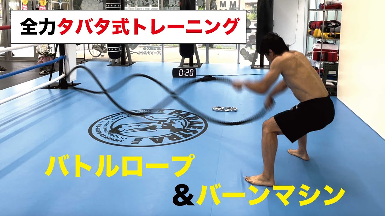 49歳】元プロ総合格闘家の【タバタ式トレーニング】全力のバトルロープ 
