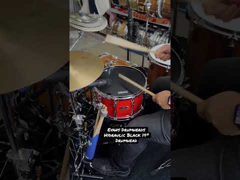 What do you think of this Evans Hydraulic #drumhead? #shorts #drumhead #hydraulic #head #drums