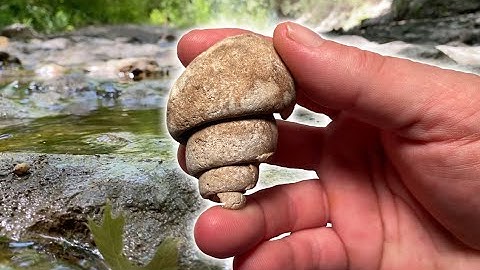 Texas Fossil Hunting - Oct 2023 #fossilhunting