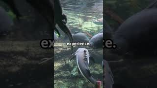 Barcelona Aquarium: Skip-the-Line Admission Ticket