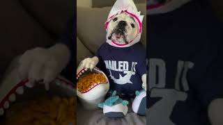 Busted!Caught Red-Pawed with the Chips! 🐶🍟