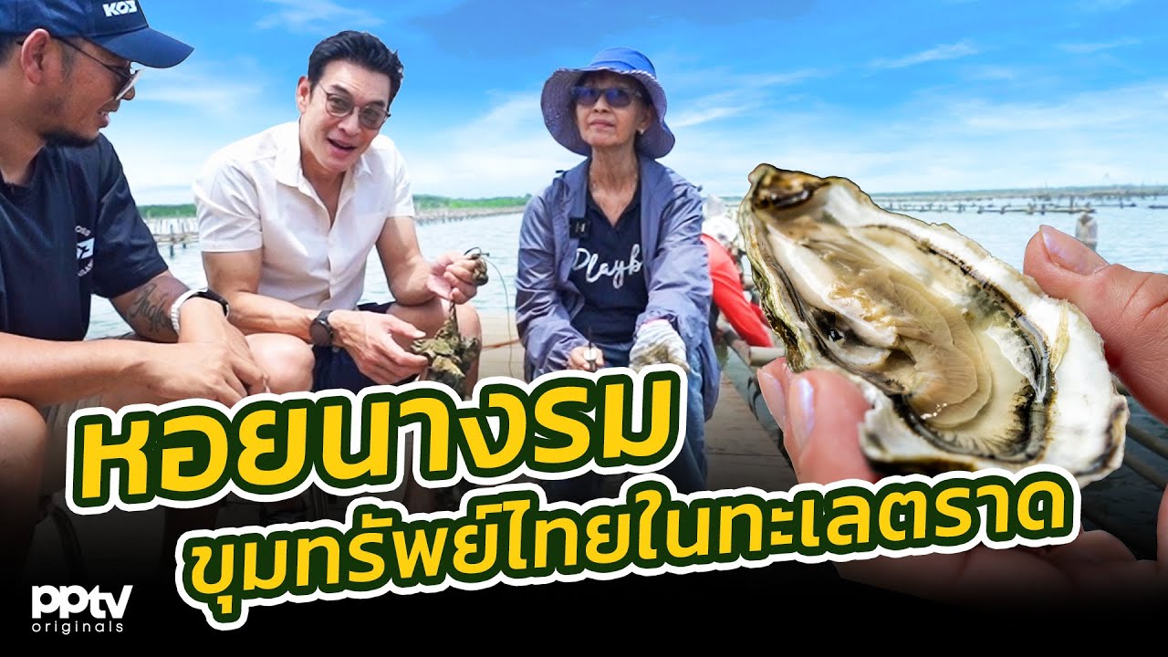 “หอยนางรม” ขุมทรัพย์ไทยในทะเลตราด | คริตมาแล้ว | Full EP.