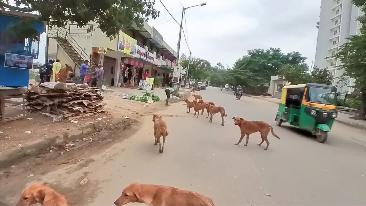 when you have separate lane for cycling in Bangalore