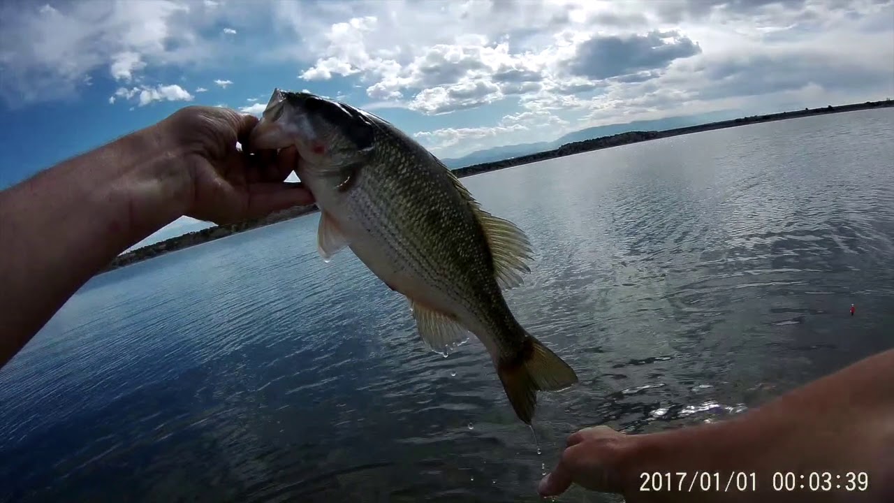 Catching 4 Species in one day Pueblo Reservoir shore fishing Bass