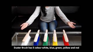 DUSTER BRUSH