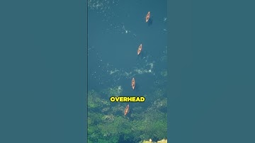 Lord of the Rings Game in Unreal Engine 5