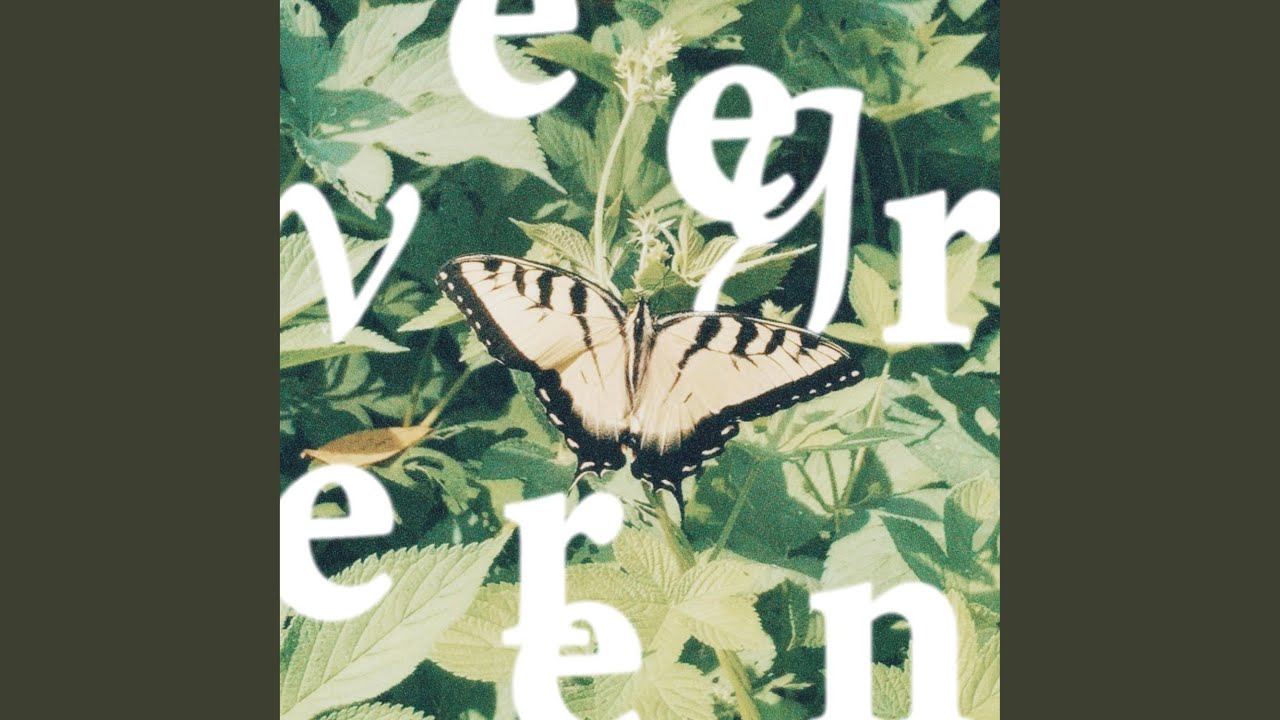 Watch evergreen on YouTube Watch evergreen on YouTube