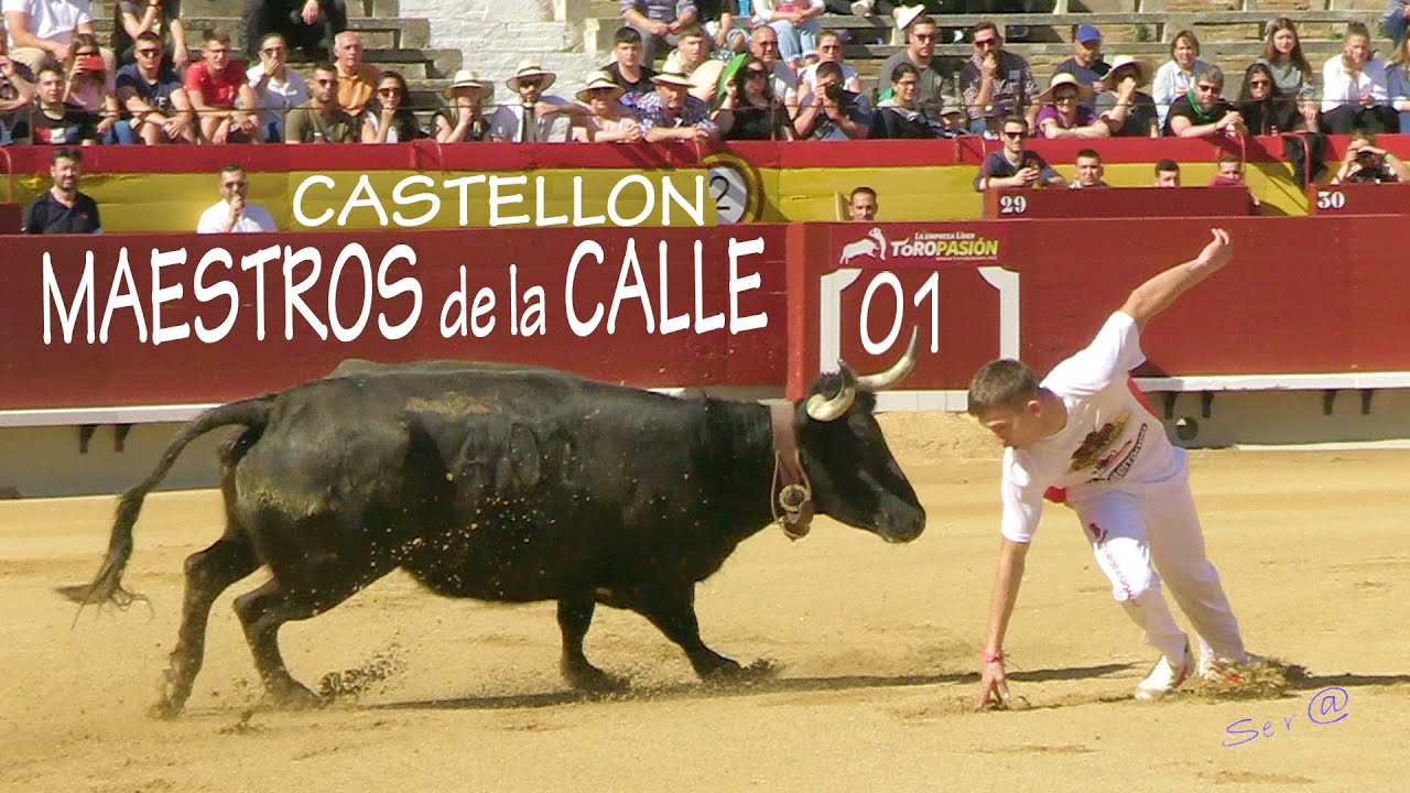 Que hacen con los toros de los encierros