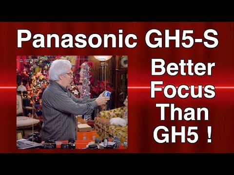 Panasonic GH5s Focuses Better Than GH5!