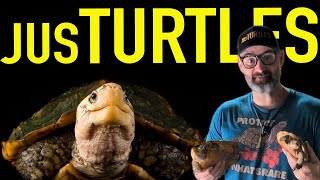 Reptilandia - The Most Amazing Habitats You'll Ever See!