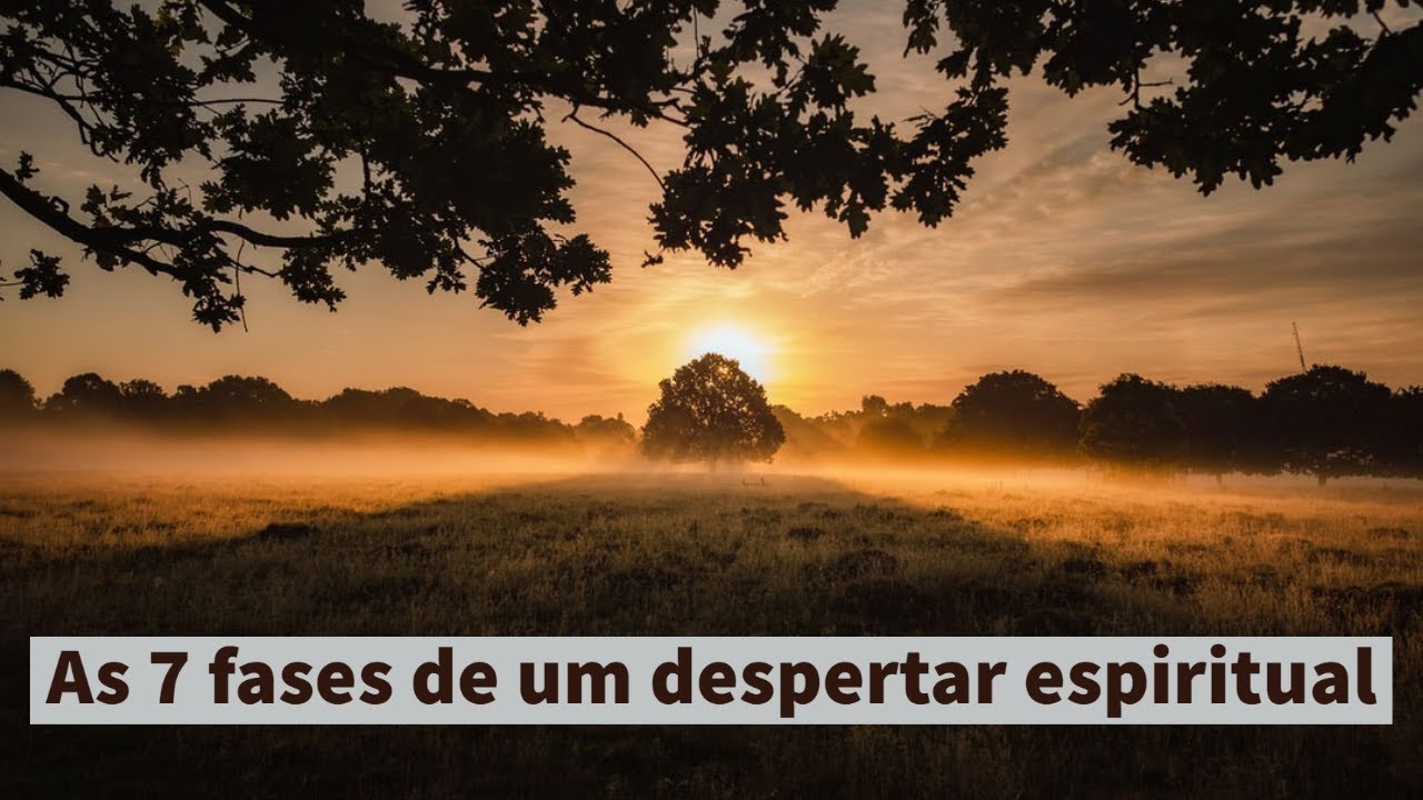 As 7 fases de um despertar espiritual - YouTube