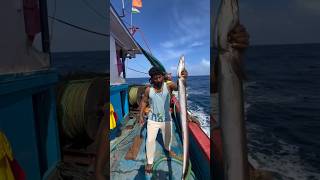 Why Do Fishermen THROW Away This VALUABLE EEL? #facts #trending #ytshorts