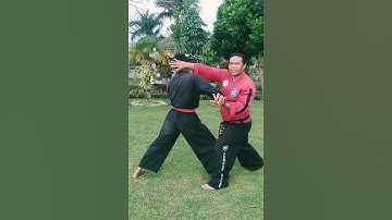teknik pertahanan diri Silat SABHIRA...