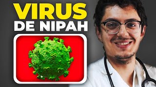 NUEVO VIRUS en la INDIA | Virus de NIPAH | LETALIDAD, síntomas y TRATAMIENTO ¿Nueva pandemia?