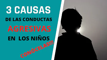 ¿Cuáles son los tres tipos de agresividad en los niños?