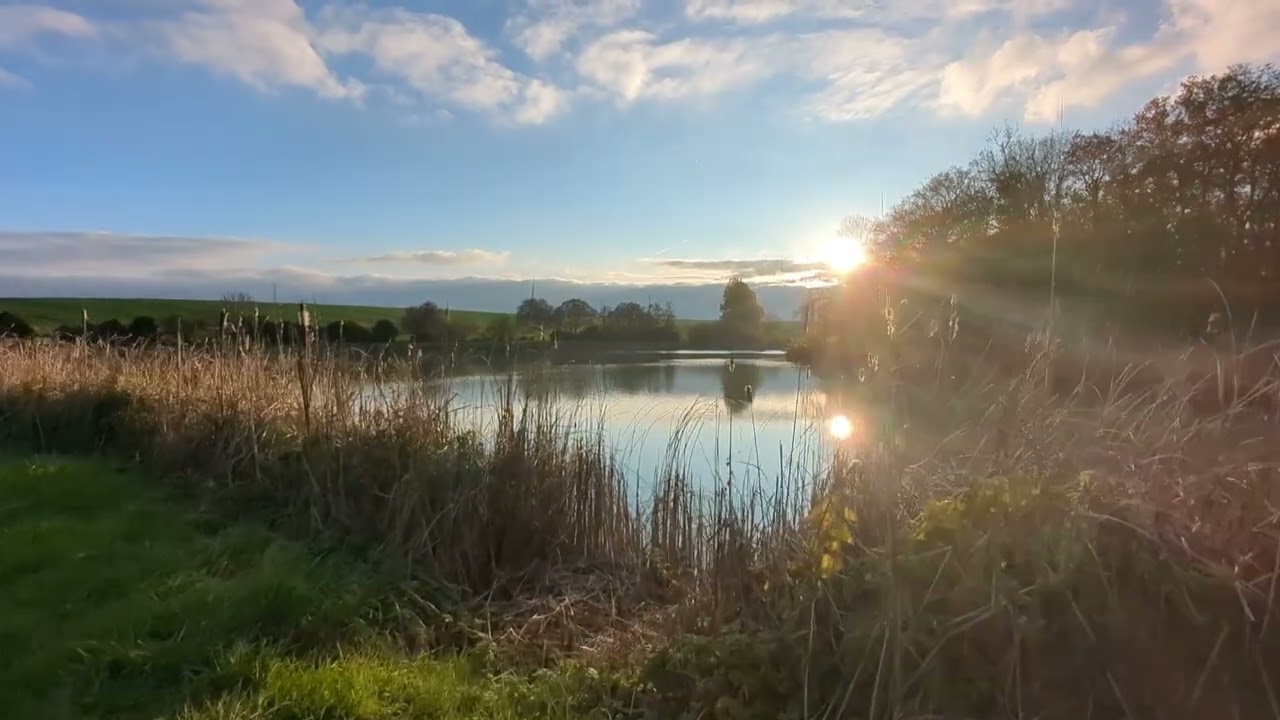 A vendre terrain de loisirs, avec 2 étangs.