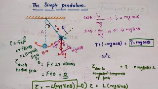 The simple pendulum // Chapter 14 Oscillations // Class 11 Physics Profile