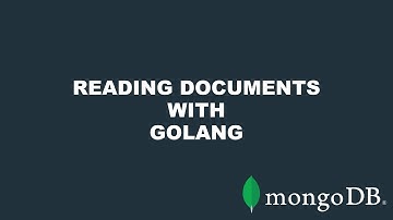 Quick Start: Retrieving and Querying MongoDB Documents with Go