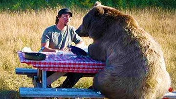 You’re Gonna Die Laughing At These Animals 😂 Funniest Animal Videos 2025 Ever!