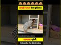 বানরটি ব্যাংকে টাকা চুরি করে #bhooter #bhuter_cartoon #cartoon #monkey #shorts #videos #dog