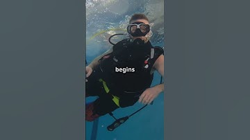 How to Become A CERTIFIED SCUBA DIVER