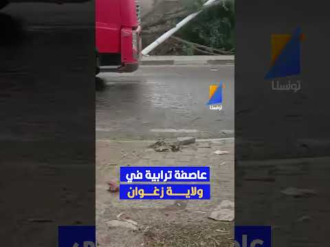بير مشارقة زغوان رياح قوية و عاصفة ترابية تسببت في خسائر مادية سقوط أشجار كبيرة و أعمدة كهربائية