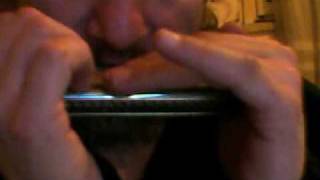 Vid-20100311-023.flv