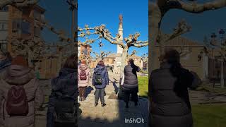 Viajes y excursiones a Palencia desde Coruña Galicia