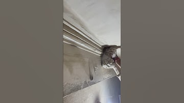 How to Making Border cornice Design 😘 #shorts