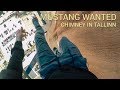Mustang Wanted climbs the chimney in Tallinn, Estonia