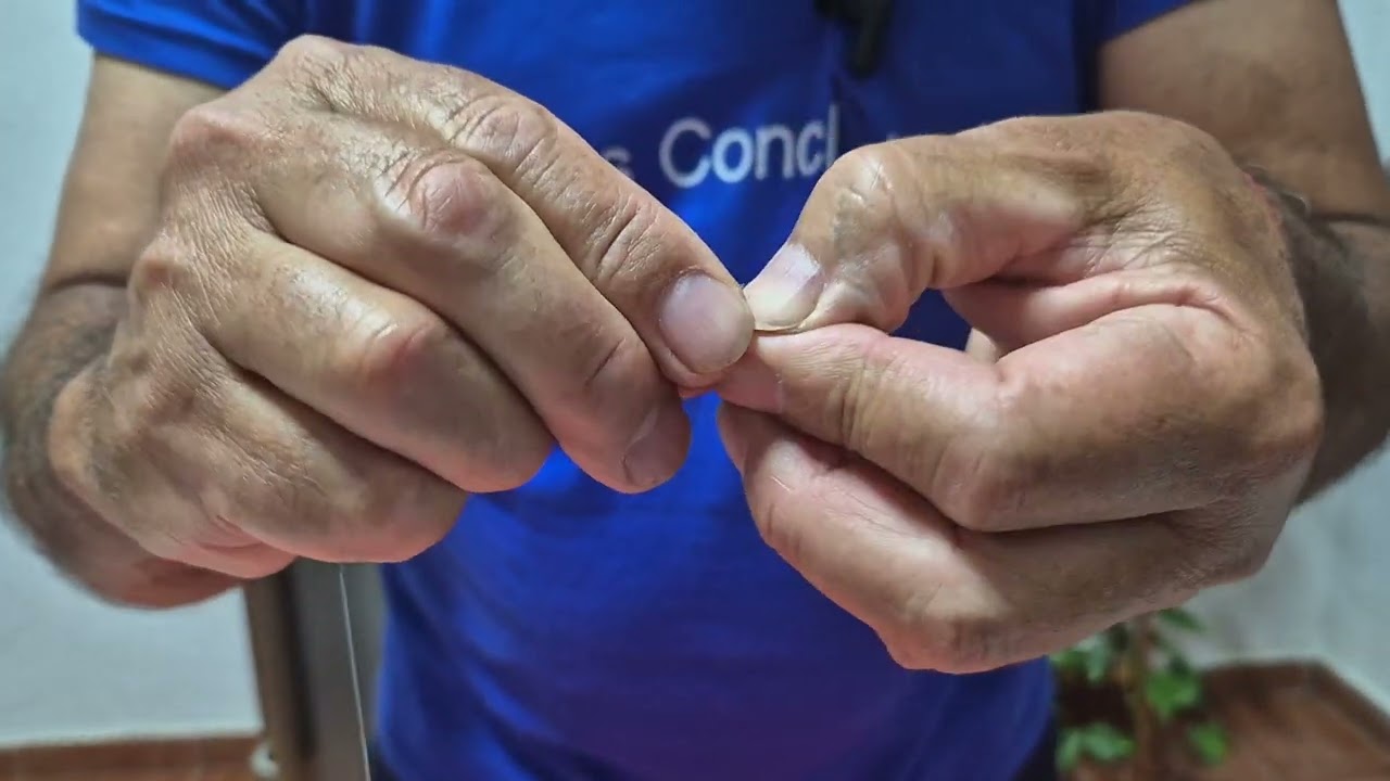 Montaje para la pesca de la vieja