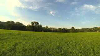 Ulan - Premières Foulées De Galop Maîtrisées En Extérieur