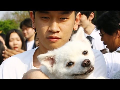 반려견 두유와 멍 때리기 대회 찾은 크러쉬