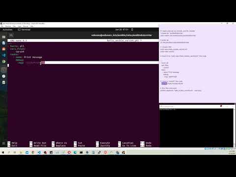 Create external variables outside  .yml playbook file. Ansible. Ubuntu. Linux.