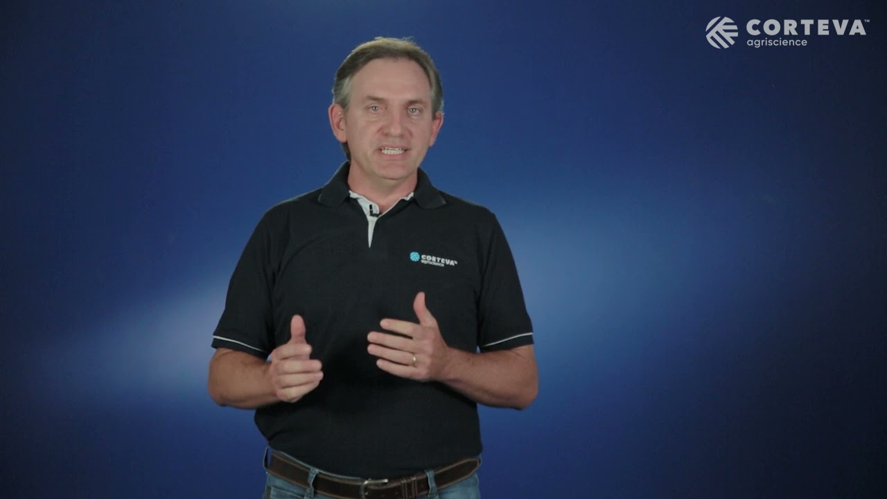 A evolução do cobre.