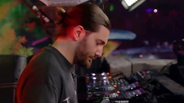Alesso & David Guetta - Never Going Home Tonight - Tomorrowland 2024