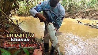 Terbukti ampuh ,,, Mancing ikan baung besar dengan umpan seperti ini