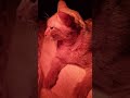 0512 골골송과 함께하는 무니 힐링 마사지 🌙Cozy purring &amp; massage time with Muni