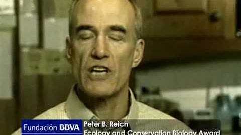 Peter B. Reich, 2009 BBVA Foundation Frontiers of Knowledge in Ecology and Conservation Biology