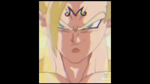 majin goku vs vegeta